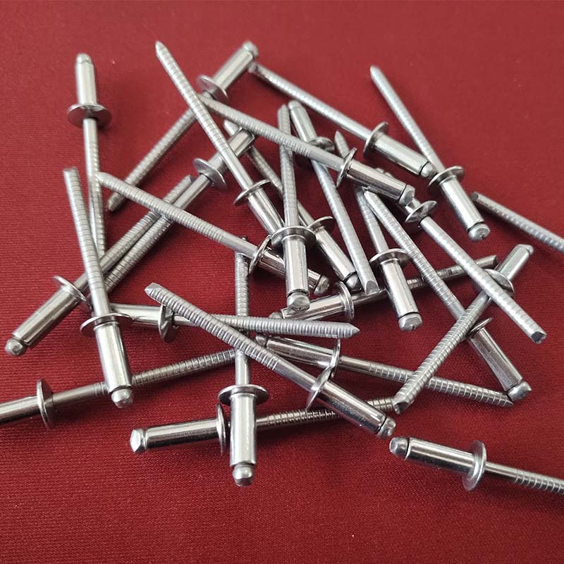 Stainless steel large flange rivets