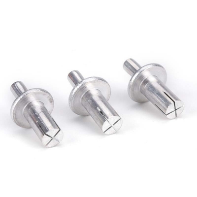 Universal Head Drive Rivets